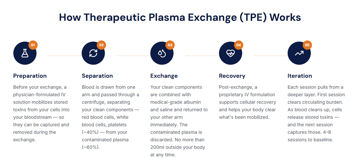 Infographic showing the five steps of Therapeutic Plasma Exchange: Preparation, Separation, Exchange, Recovery, Iteration